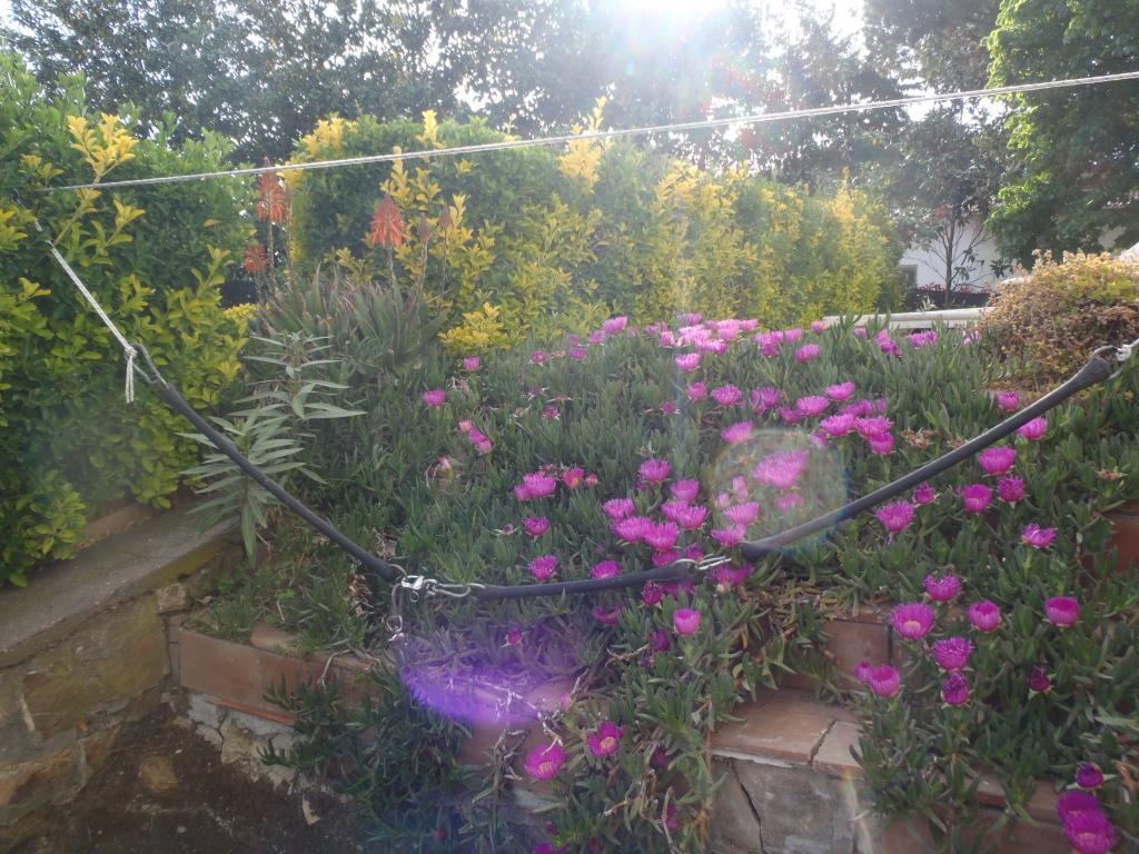 B&B Villa Sans Souci Civitavecchia Exterior foto